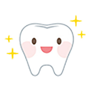 1.歯質